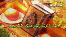 New Bangla Islamic Waz 2018 - Quari Ahmed Bin Yusuf Al Azhari - Quran Telwat__