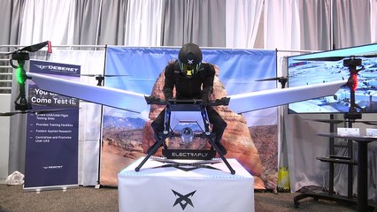 Carros voadores e brinquedos sexuais na CES em Las Vegas