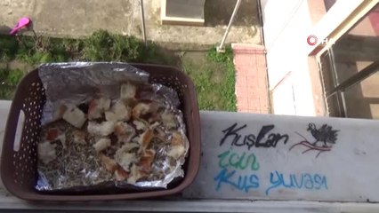 Öğrencilerden Sokak Hayvanları İçin Örnek Proje