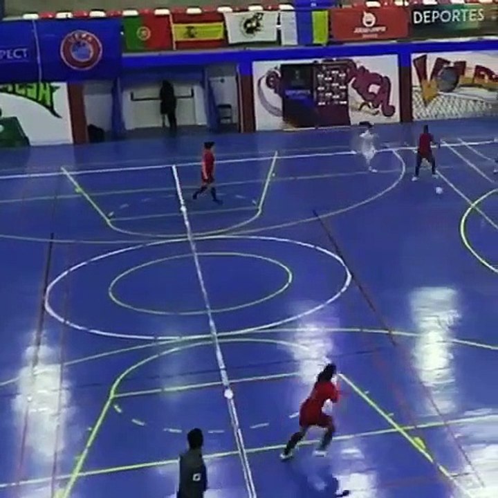 CofinaEditor_2019-01-10_19_05_50video1547145988