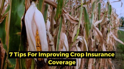 7 Tips For Improving Crop Insurance Coverage