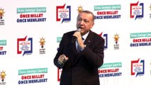 Cumhurbaşkanı Erdoğan: Kendi yolumuzda ilerlemeyi sürdürüyoruz - KOCAELİ