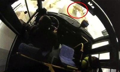 Yaya geçidinde bekleyen köpeğe yol verdi