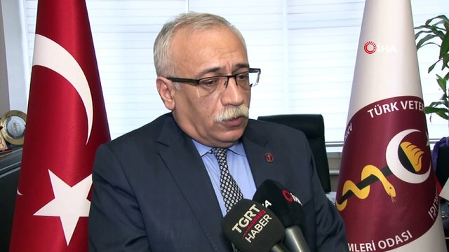 Veteriner Hekimler Odası Başkanı köpek saldırılarına dikkat çekti