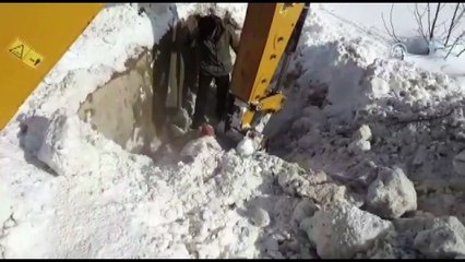 Kar altında kalan köpek yavrularını ekipler kurtardı - HAKKARİ