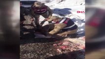 Adıyaman Aç Kalan Dağ Keçisi Jandarma Tarafından Kurtarıldı