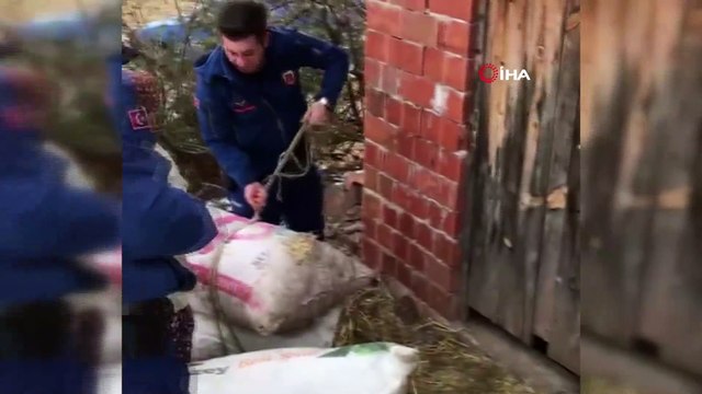 Jandarma’dan yürekleri ısıtan davranış...Devriye atan jandarma ekipleri sırtında saman taşıyan yaşlı kadına yardım etti