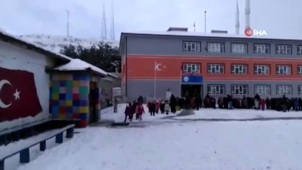 Öğrenciler Sokak Kedileri Üşümesin Diye Ev Yaptı