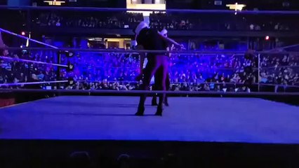 IIconics (Billie Kay & Peyton Royce) - WWE Chicago December 26th 2018 P02