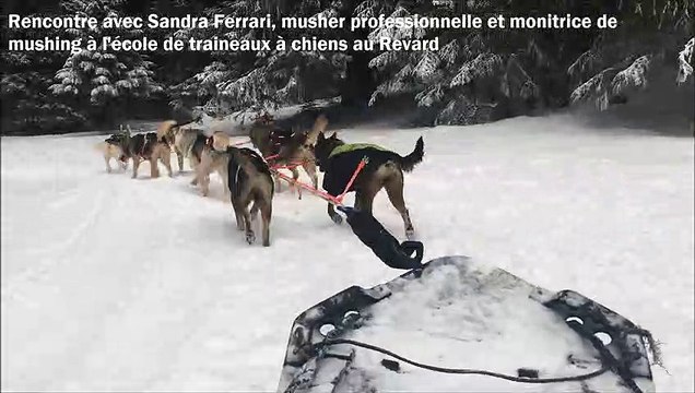Rencontre avec Sandra Ferrari, musher professionnelle et monitrice de mushing à l'école de traineaux à chiens au Revard