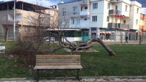 Bursa'da Etkili Lodos, Yerini Hafif Rüzgar ve Sağanak Yağışa Bıraktı