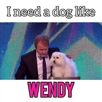 Top 20 Funny Clips || Try Not To Laugh or Grain || Best Comedy Prank Videos Compilation