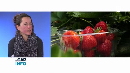 BONUS - BONUS DE RECAPINFO 11 JANVIER 2019