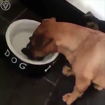 Моё повышение зарплаты