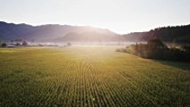 L'agriculture raisonnée, qu'est-ce que c'est ?