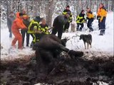 Les pompiers au secours de Samba dans le Haut-Doubs