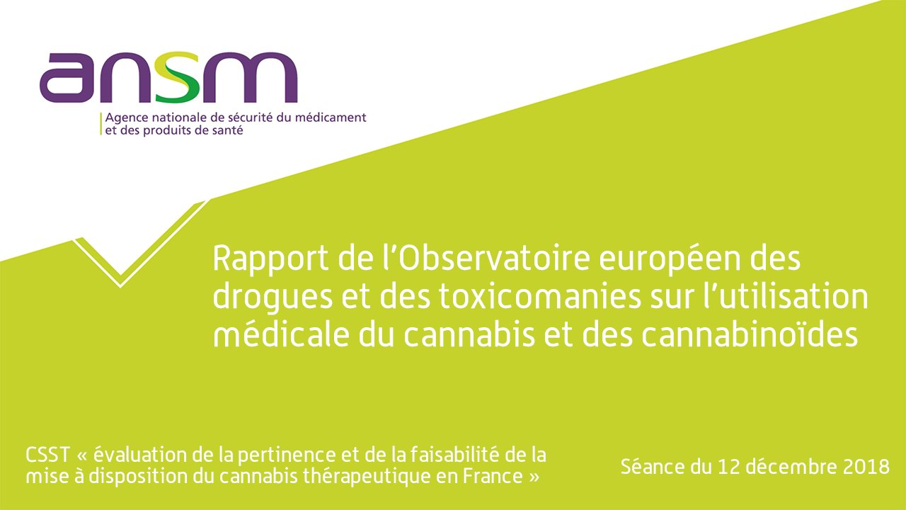 Rapport de l’Observatoire européen des drogues et des toxicomanies (OEDT) sur l’utilisation médicale du cannabis et des cannabinoïdes