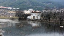 Sağanak nedeniyle tarım arazilerini su bastı - MUĞLA