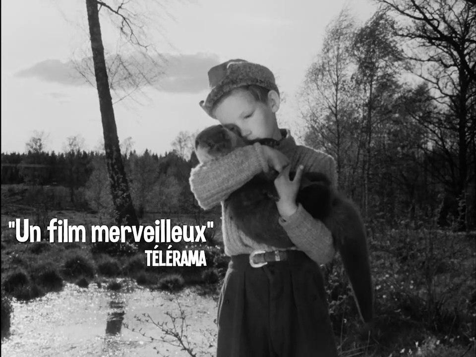 La Grande Aventure Film annonce