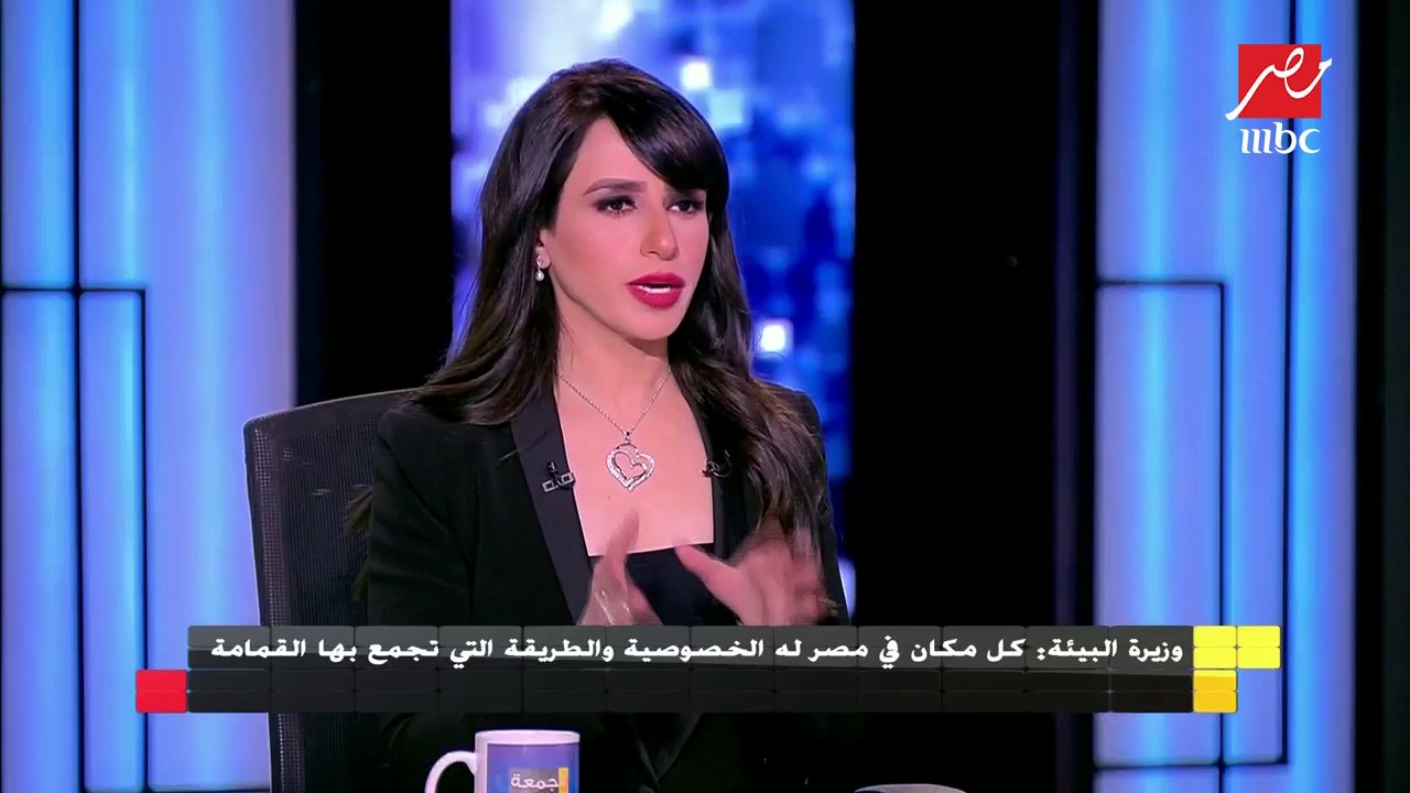 وزيرة البيئة: برنامج التحكم في التلوث الصناعي للتخلص من مخلفات المصانع