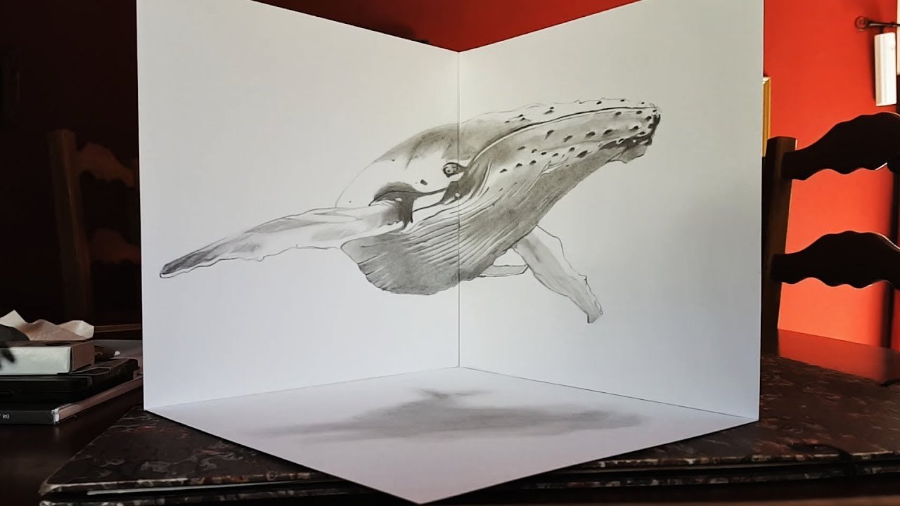 Drawing illusion 3D Anamorphique - Baleine