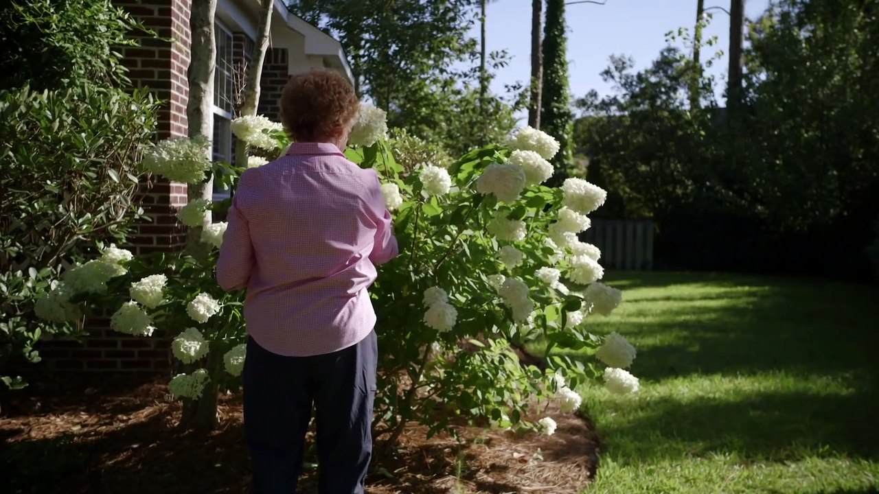 Declassified Spy Stories - Trigon KGB Chess Game  (History Documentary)