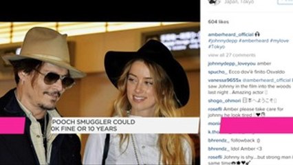 Amber Heard has been charged over smuggling her dogs into Australia