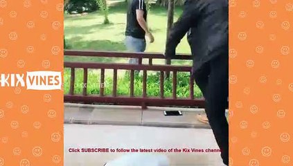 Try not to laugh very entertaining and funny video eve