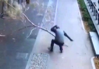 Adamın Kafasına Ağaç Dalı Düştü