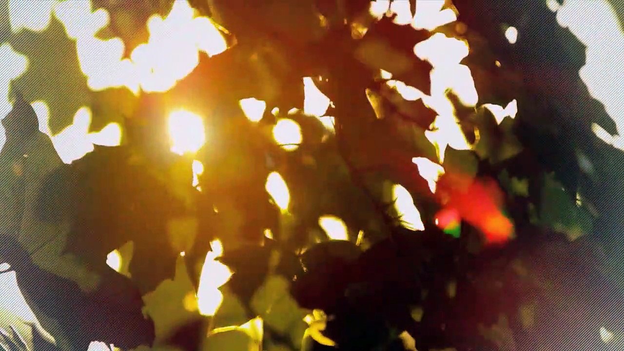 A vendre - Maison - La Sagne (2314) - 6.5 pièces - 188m²