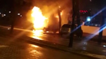 Manisa Nesli Tükenmekte Olan 'Vaşak' Görüntülendi