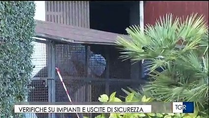 CORINALDO- VERIFICHE SU IMPIANTI E USCITE DI SICUREZZA (Dal TGR Marche del 11 gennaio 2019)