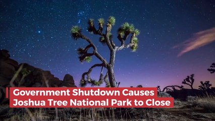 Joshua Tree National Park Closes