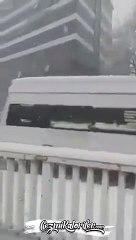 Zonguldak Belediyesi'nden Dünyayı Güzelleştiren Anons  'Yoğun Kar Yağışı Nedeniyle Sokak Hayvanları İçin Uygun Yerlere Yemek Konulması Rica Olunur'