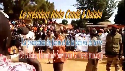 Le président Alpha Condé à Dalaba : l'essentiel des discours