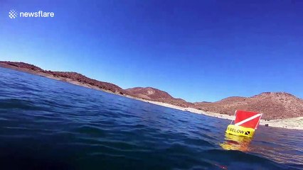 Fake skeleton, grandfather clock in strange underwater Arizona world