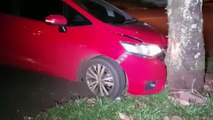 Honda Fit atinge árvore após colisão com veículo Audi