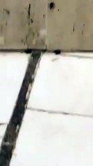 شاهدوا غضب الله على بلاد الحرمين بعد طغيان حكامها وفساد مسؤوليها