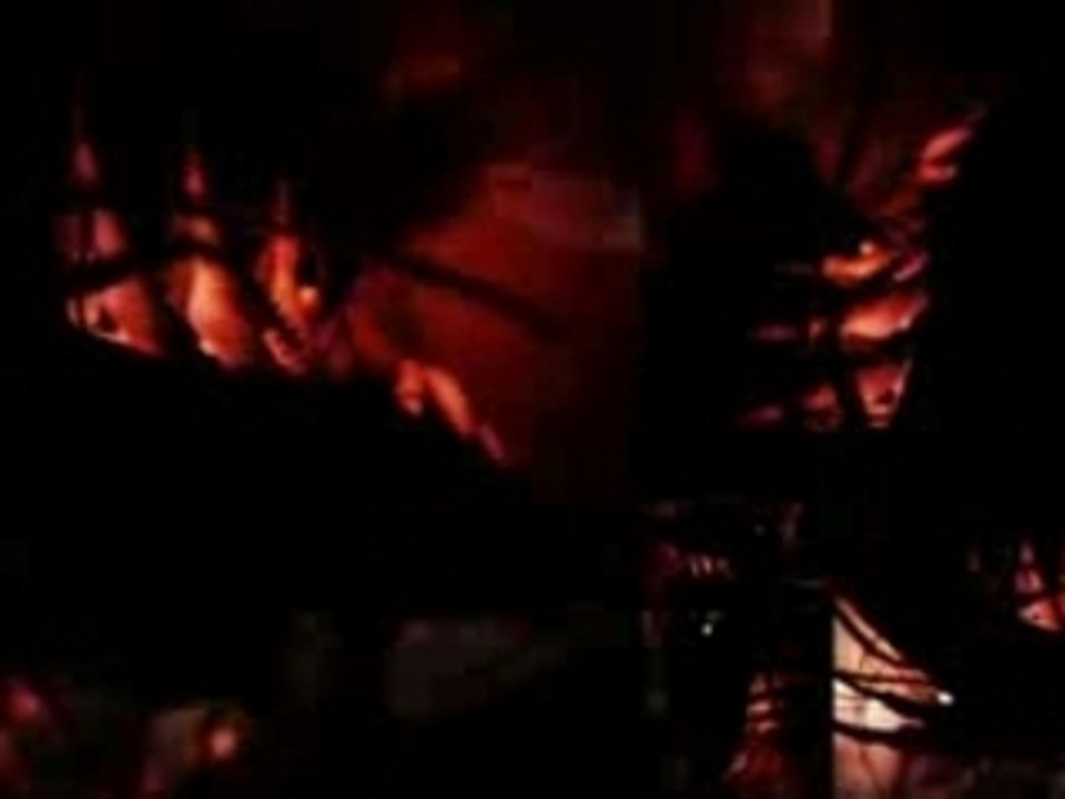 BT - This Binary Universe - 1.618