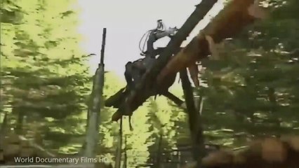 Timber and logging technology