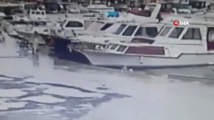 Denize Düşen Köpeği Arkadaşları Havlayarak Kurtardılar