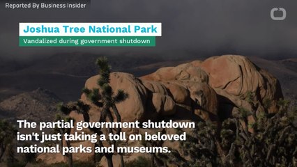 Insecure: Gov Shutdown Leaves Over 80 Government Websites Unprotected, Useless