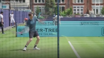 Andy Murray Might Retire After Australian Open