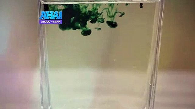 AHA!: Pinoy version ng 'Mukbang challenge,' susubukan ni Andre Lagdameo!