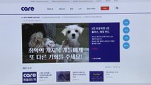 동물 단체 '케어'...수백 마리 안락사 논란 / YTN