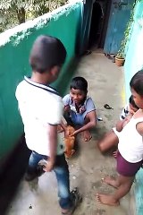 Children's fun with cats