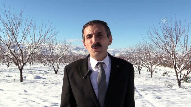 Yağışlar çiftçinin yüzünü güldürdü - MALATYA