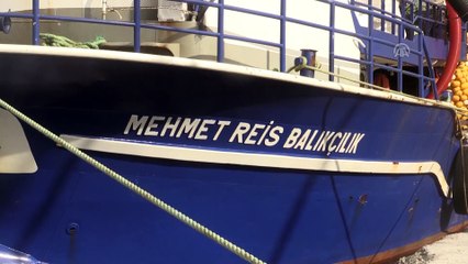 Firari çupra ve levreğe 'gırgır' takibi - MUĞLA