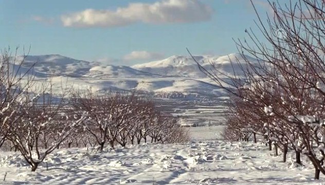 Yağışlar Çiftçinin Yüzünü Güldürdü