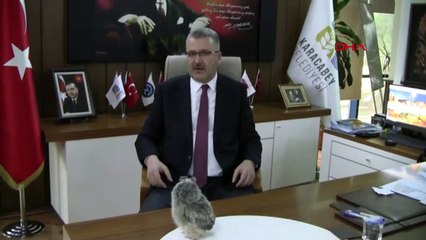 Yavru baykuş, belediyenin maskotu oldu